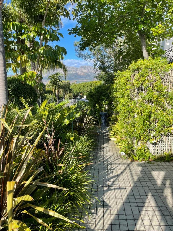 Constantiaberg Eco-Villa Kapstaden Exteriör bild